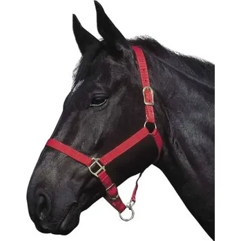 Vybavení pro koně Ohlávka RIDING WORLD červená FULL