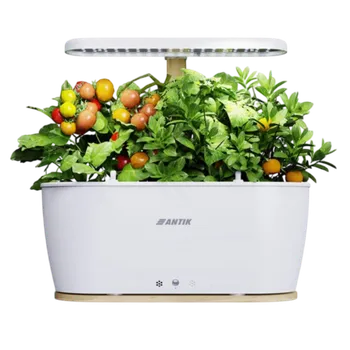 Hudební software ANTIK Technology Zkušební produkt