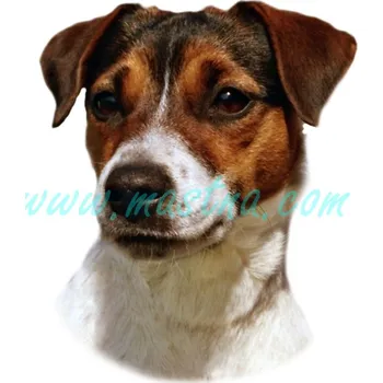 Samolepka Parson Russel, Jack Russel teriér 207