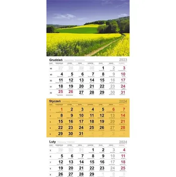 Kalendář Kalendarz 2024 Trójdzielny pola rzepaku