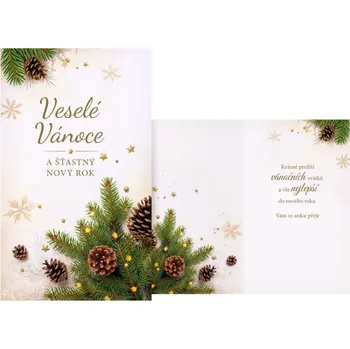 vánoční přání V24-505 T PRANI_T_2462 MFP