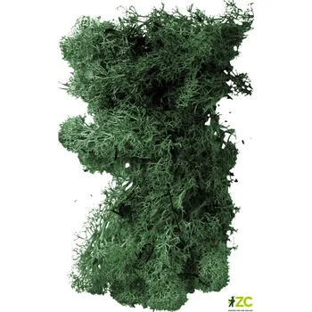 Svíčka Mech preparovaný Rosteto 20 g mechově zelená