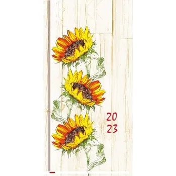 Kalendář Terminarz 2023 Kieszonkowy (pl, 2022, Plastový obal, Michalczyk i Prokop)