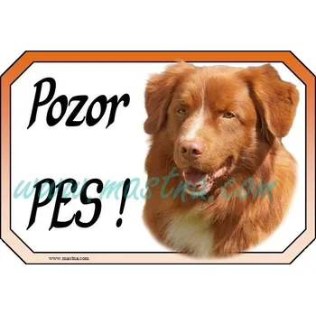 copy of Kanadský retrívr, toller, Nova Scotia duck tolling , cedulka pozor - Bez samolepicí vrstvy