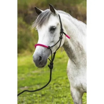 Provazová ohlávka s vodítkem NORTON black/fuchsia FULL