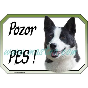 Karelský medvědí pes, cedulka pozor - Bez samolepicí vrstvy