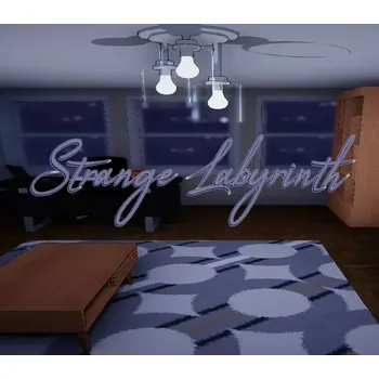 Počítačová hra Strange Labyrinth