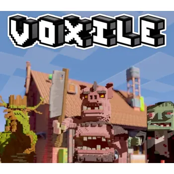 Počítačová hra Voxile