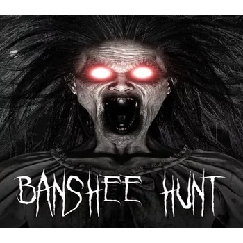 Počítačová hra Banshee Hunt