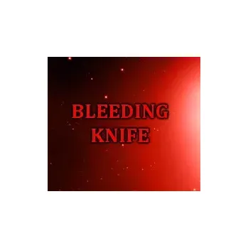 Počítačová hra Bleeding Knife