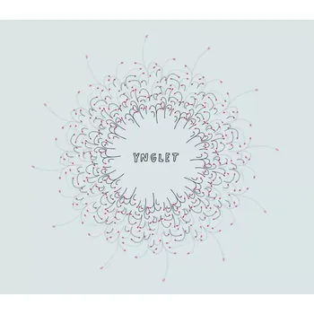 Počítačová hra Ynglet