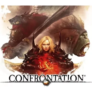 Počítačová hra Confrontation