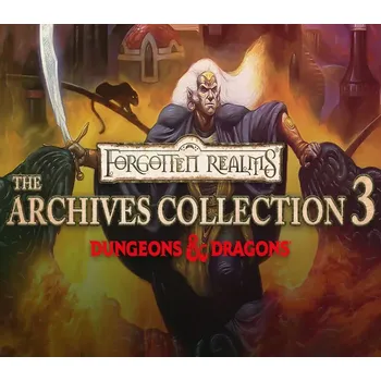 Počítačová hra Forgotten Realms: The Archives - Collection Three