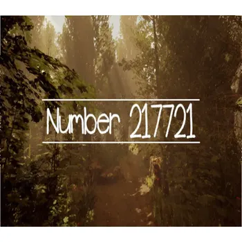 Počítačová hra Number 217721
