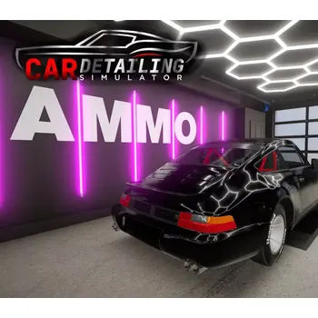 Počítačová hra Car Detailing Simulator - AMMO NYC DLC