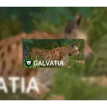 Počítačová hra Galvatia