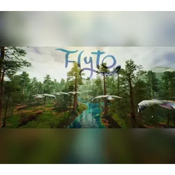 Počítačová hra Flyto