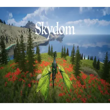 Počítačová hra Skydom
