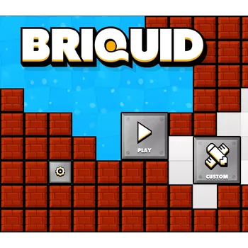 Počítačová hra Briquid