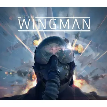 Počítačová hra Project Wingman