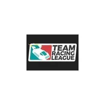 Počítačová hra Team Racing League