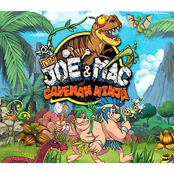 Počítačová hra New Joe & Mac - Caveman Ninja