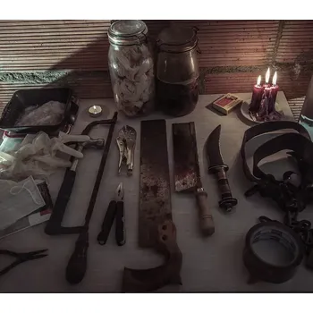 Počítačová hra The Fan