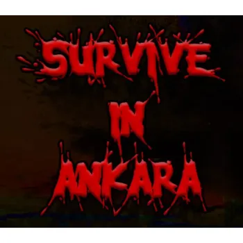 Počítačová hra Survive in Ankara