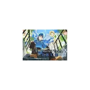 Počítačová hra The Sacred Tears TRUE