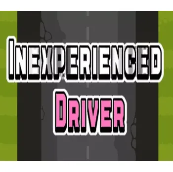Počítačová hra Inexperienced Driver
