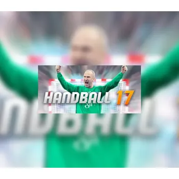Počítačová hra Handball 17