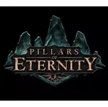 Pillars of Eternity: Hero Edition