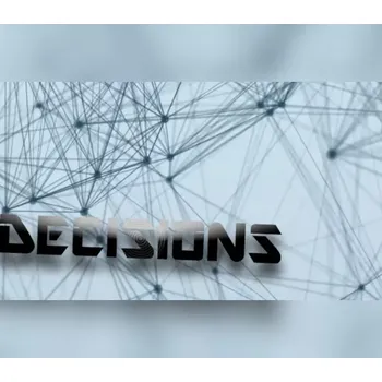 Počítačová hra Decisions