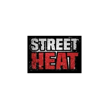 Počítačová hra Street Heat