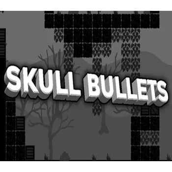 Počítačová hra Skull Bullets