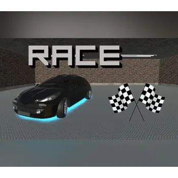 Počítačová hra Race
