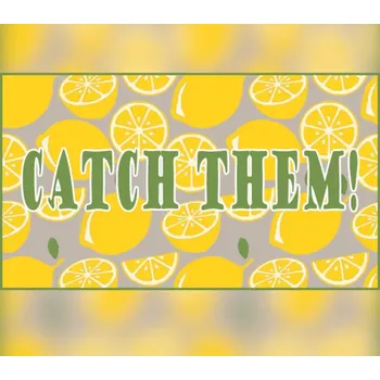 Počítačová hra Catch them!