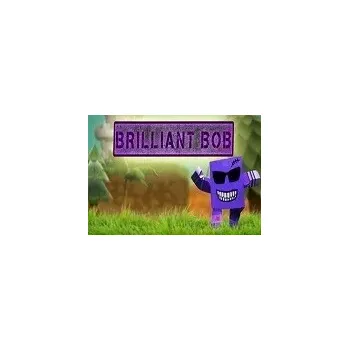 Počítačová hra Brilliant Bob