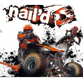 Počítačová hra Nail'd