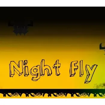 Počítačová hra Night Fly