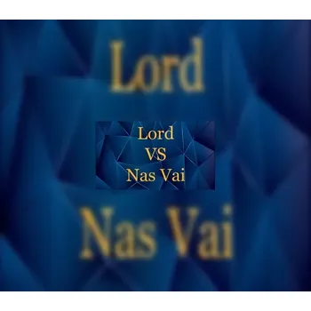 Počítačová hra Lord VS Nas Vai