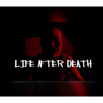 Počítačová hra Life after Death