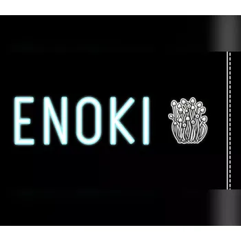 Počítačová hra Enoki