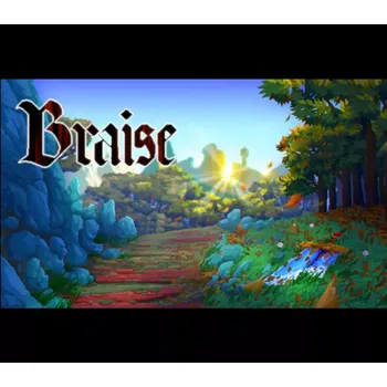 Počítačová hra Braise