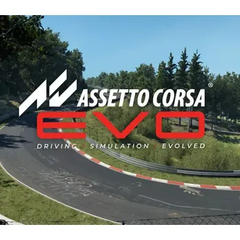 Počítačová hra Assetto Corsa EVO
