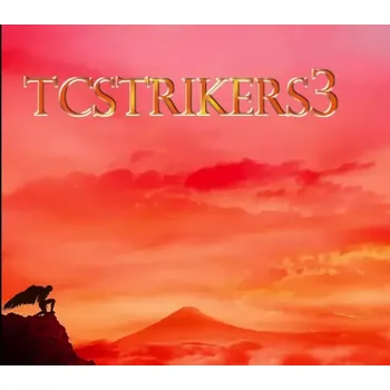 Počítačová hra TCSTRIKERS3