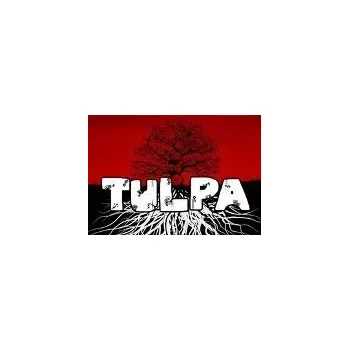 Počítačová hra Tulpa