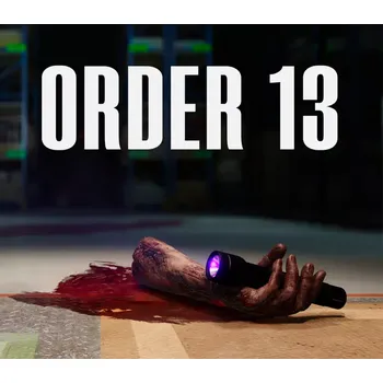 Počítačová hra ORDER 13