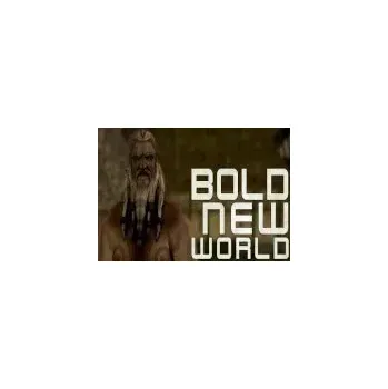 Počítačová hra Bold New World