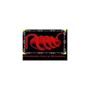 Počítačová hra Prelude for a Dream